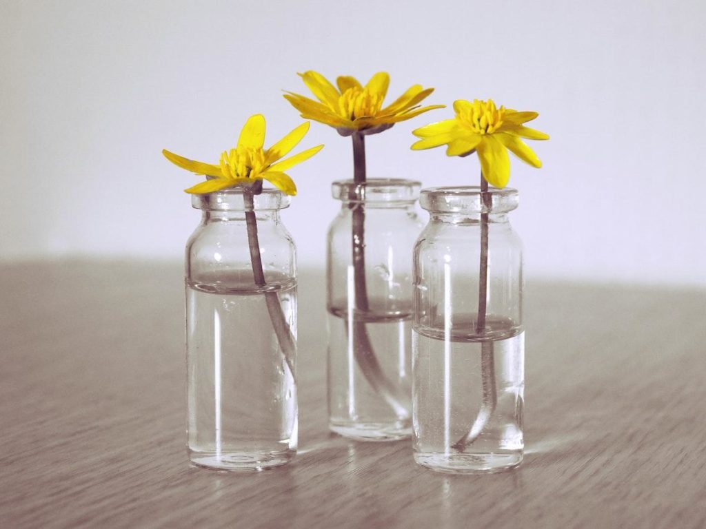 flowers-in-glass-jar
